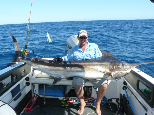 90kg plus black marlin